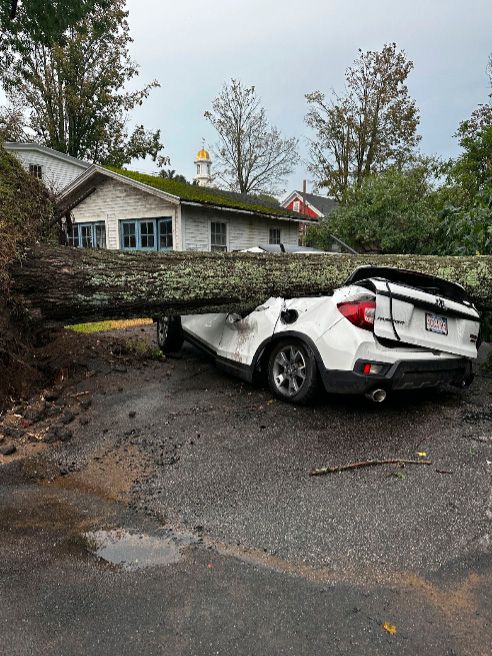 Actontreecar