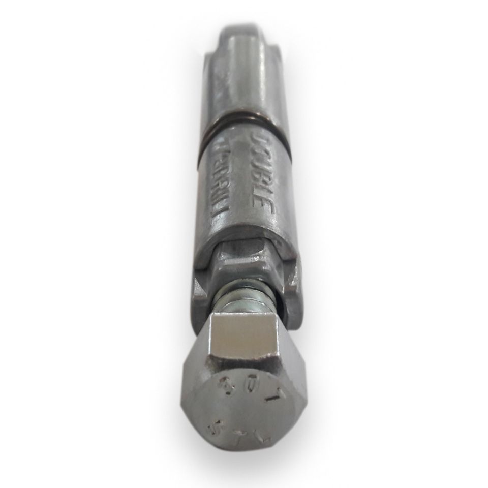 Double expansion anchor