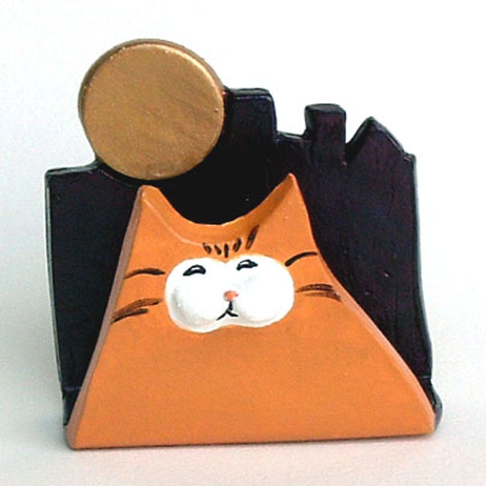 City cat