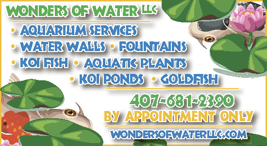 220203 wonders of water 2x2
