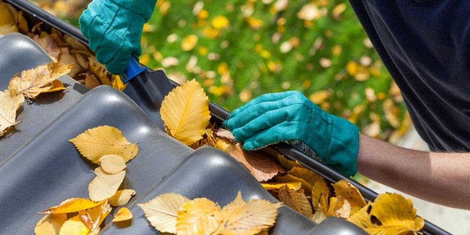 Professional gutter cleaner unclogging rain gutters.