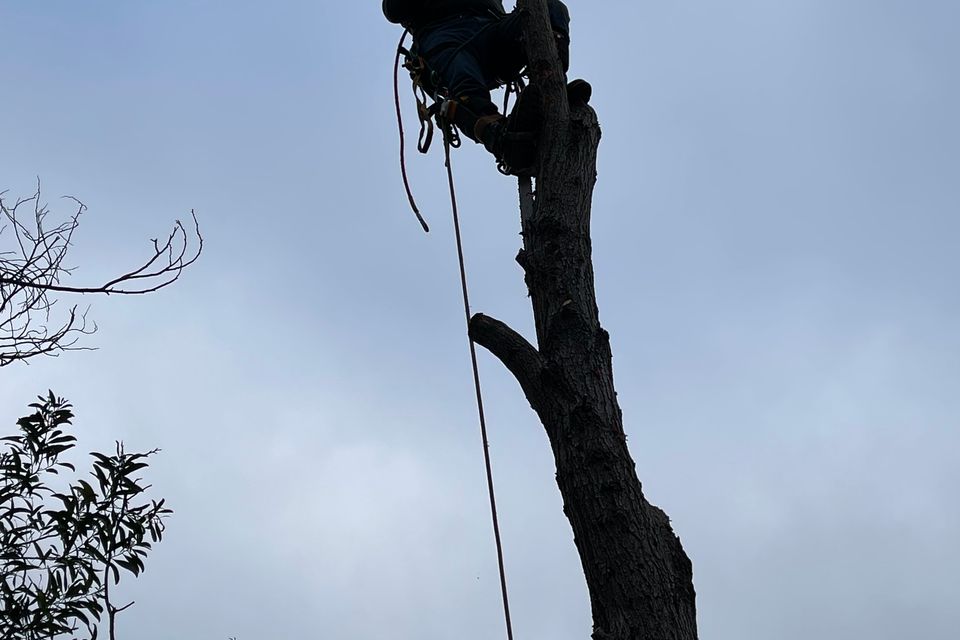 Img 4156