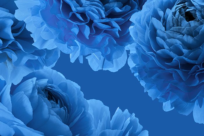 Adobestock 484782105