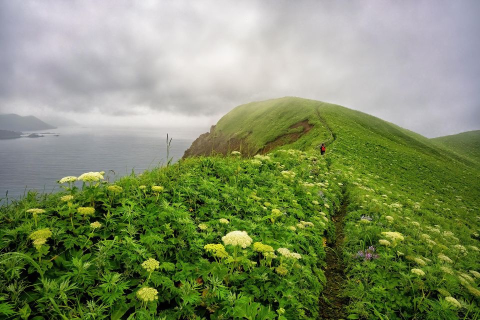 Cape g9f9779556 1920
