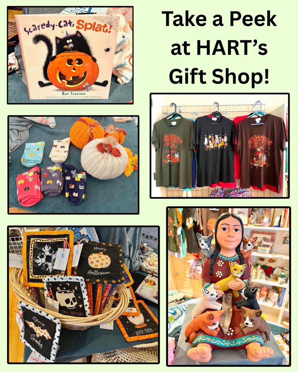 Take a peek at hart’s gift shop!