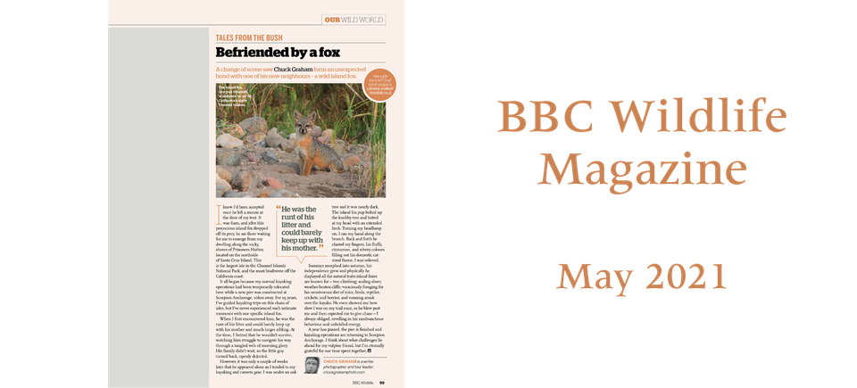 Bbc wildlife may 2021