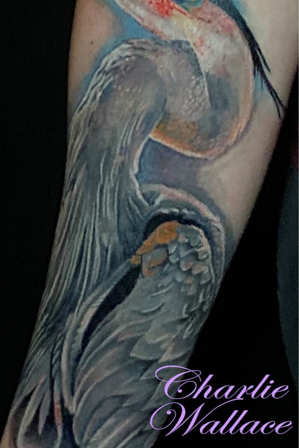 Image asset   2023 02 05t225038.729