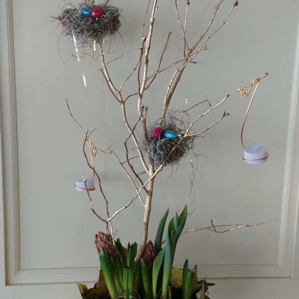 Bloom 10420180611 18525 oxrd99