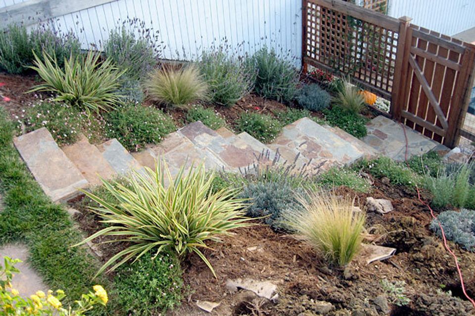 Tiburon residence 01