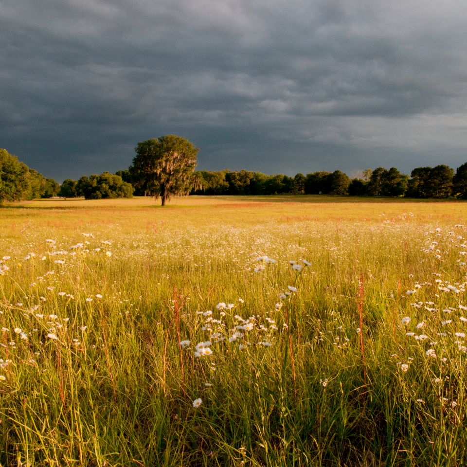 Stormy twighlight 1