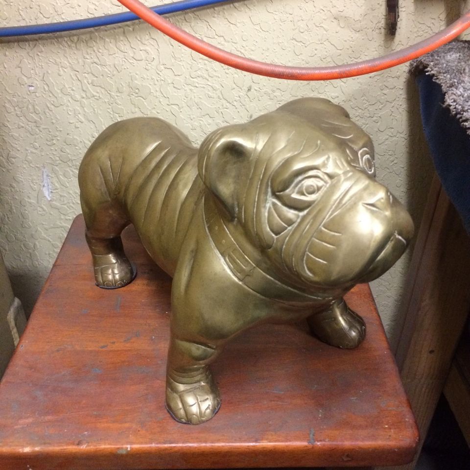 Dog 220170720 32595 j90jfu