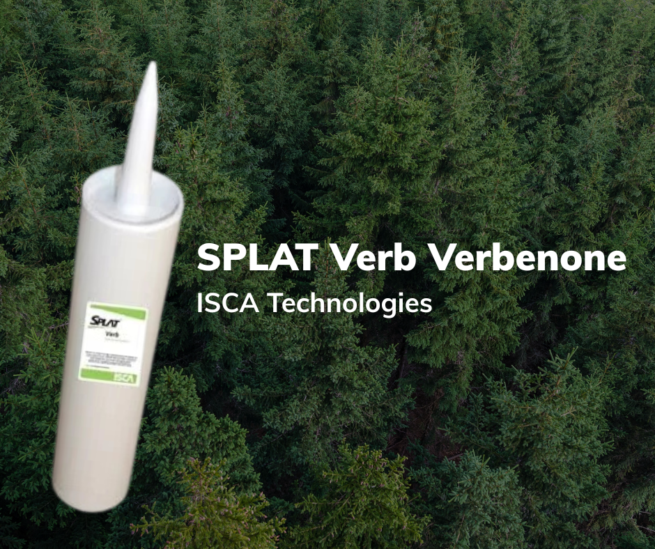 SPLAT Verb Verbenone by ISCA Technologies