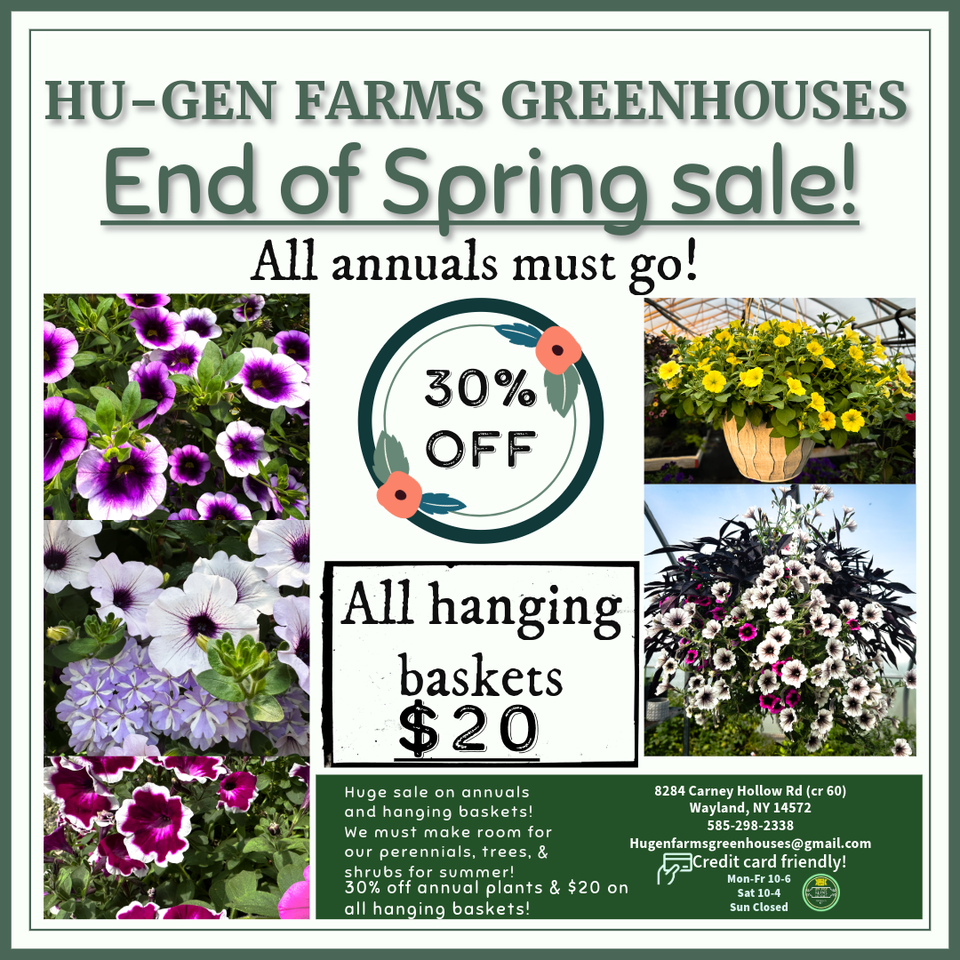 End of spring sale