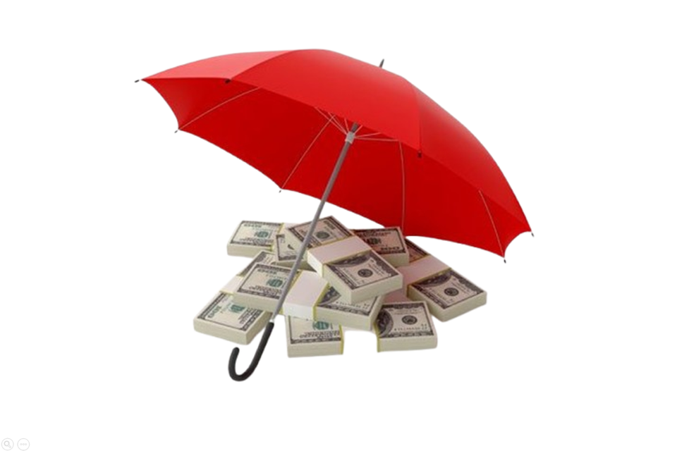 Fiscal sponsorship veduffe