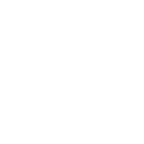 Shield icon
