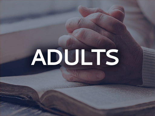 Mission adults