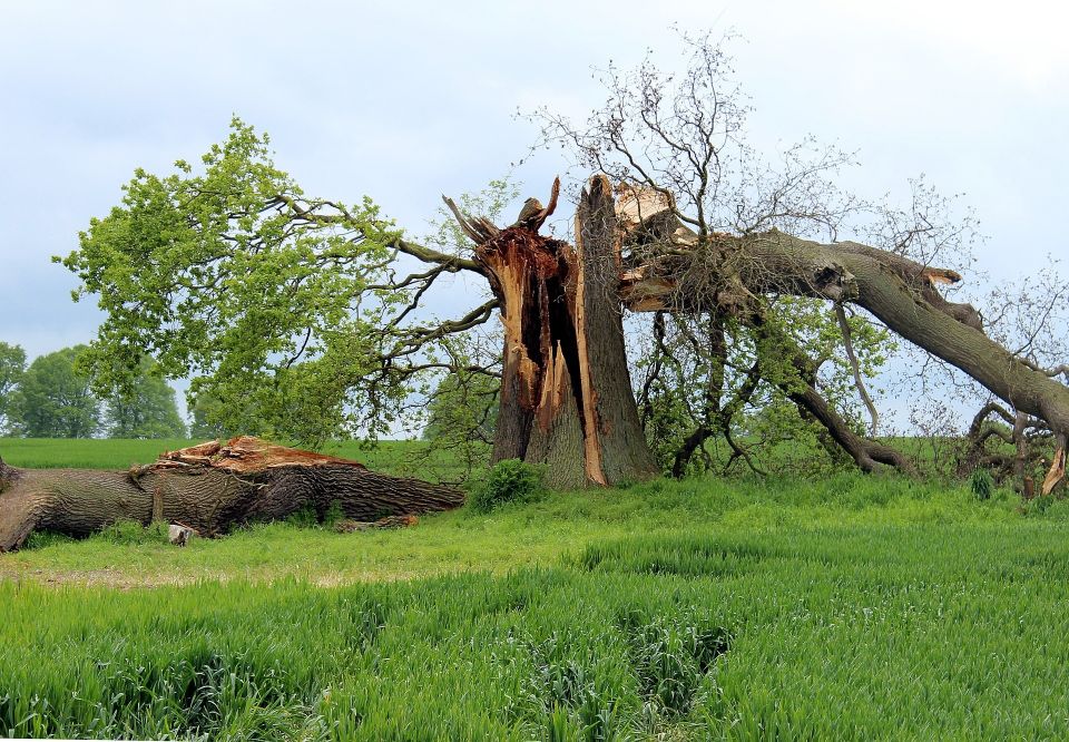 Storm damage g990b17dbc 1920