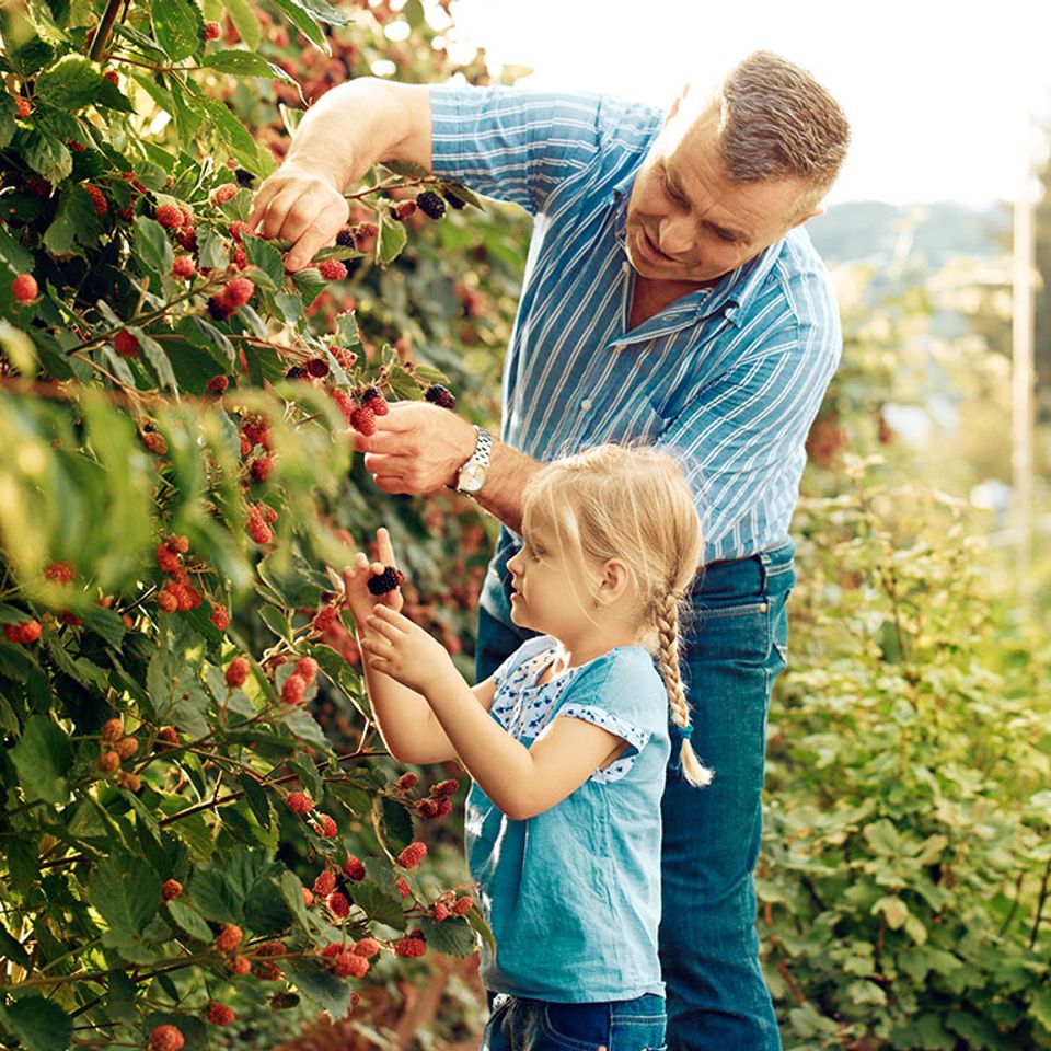 Bloir family farm 1
