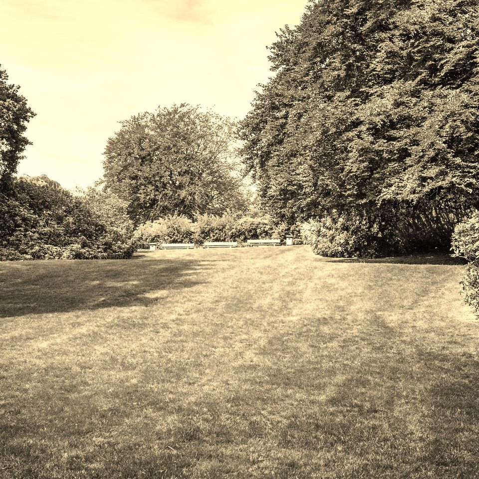 Lawn Maintenance