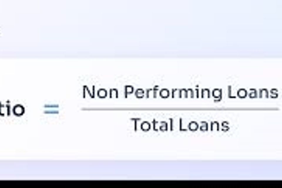 Non performing loans.jpeg 14