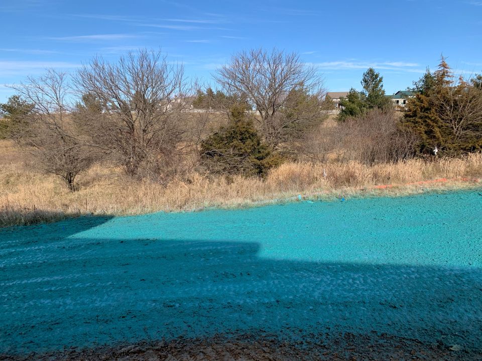 Img 2086