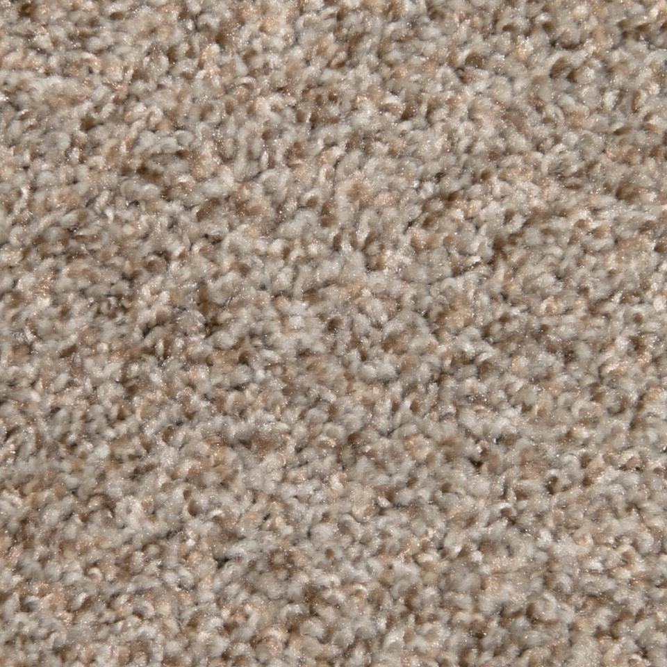Carpet