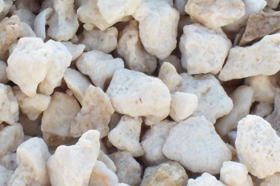 89 limestone
