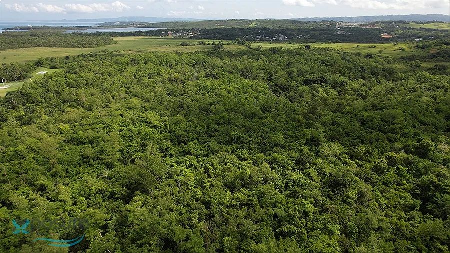 5a9f86bc3970697f1850e986f568d53b uncropped scaled within 1536 1152 2