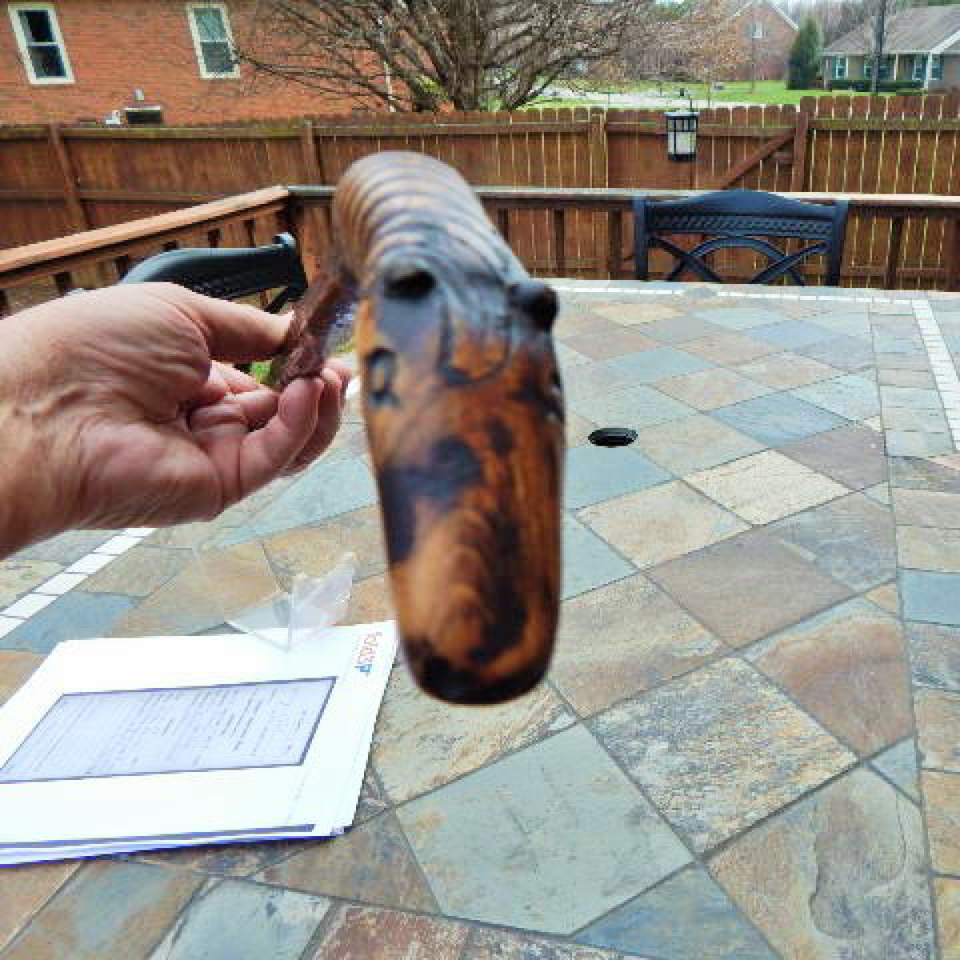 Cw vets carved horse head cane id'ed merrill's hor files820170913 28691 83bd93