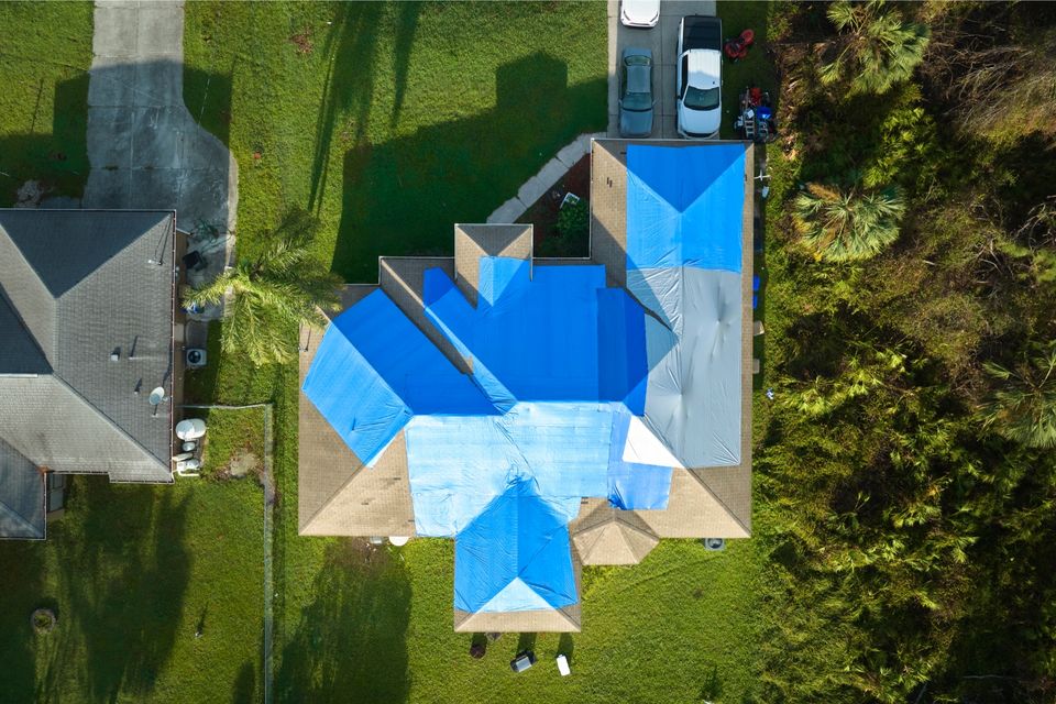 Untitled design (20)