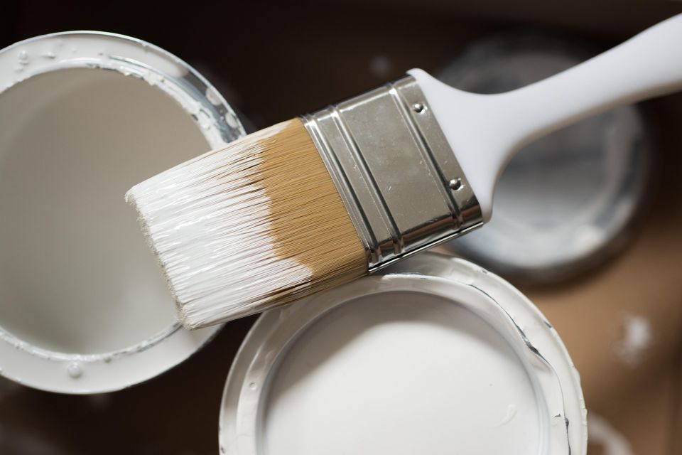Paintbrush g979681392 1920