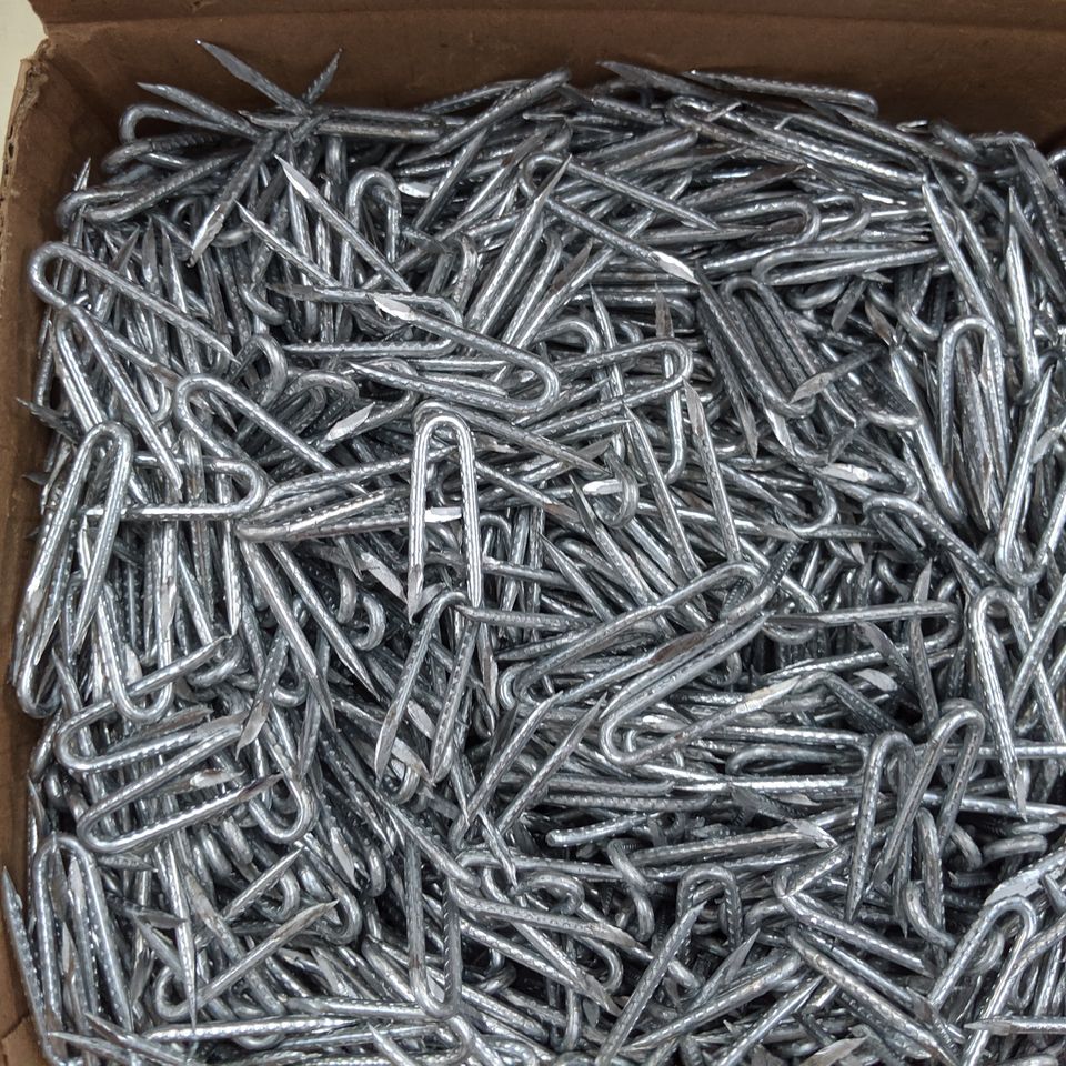 Nails1