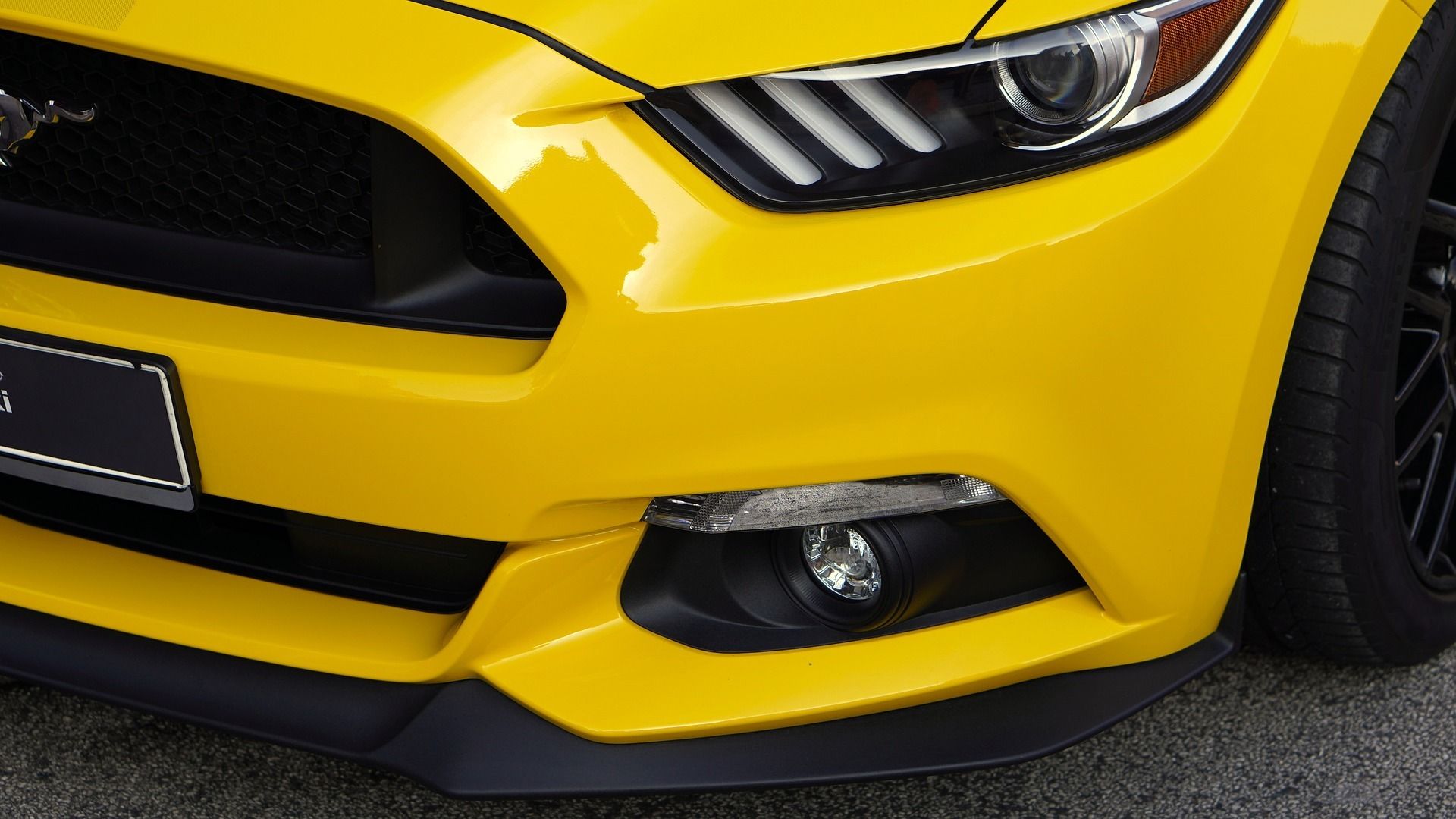 Dents No More Paintless Dent & Bumper Repair