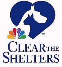 Cleartheshelters logo