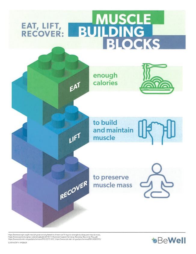 Muscle building blocks 1