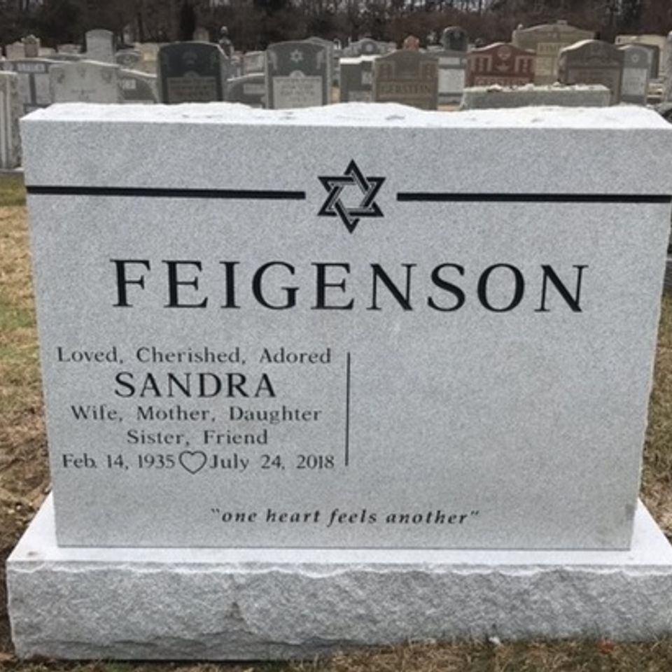 Sandra feigenson set