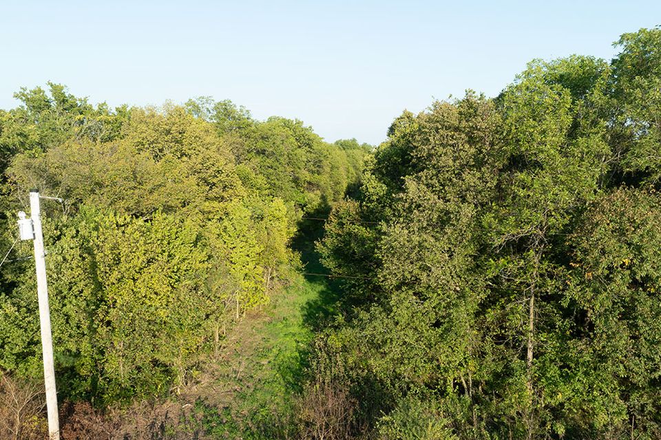 38 acres wentworth missouri 10