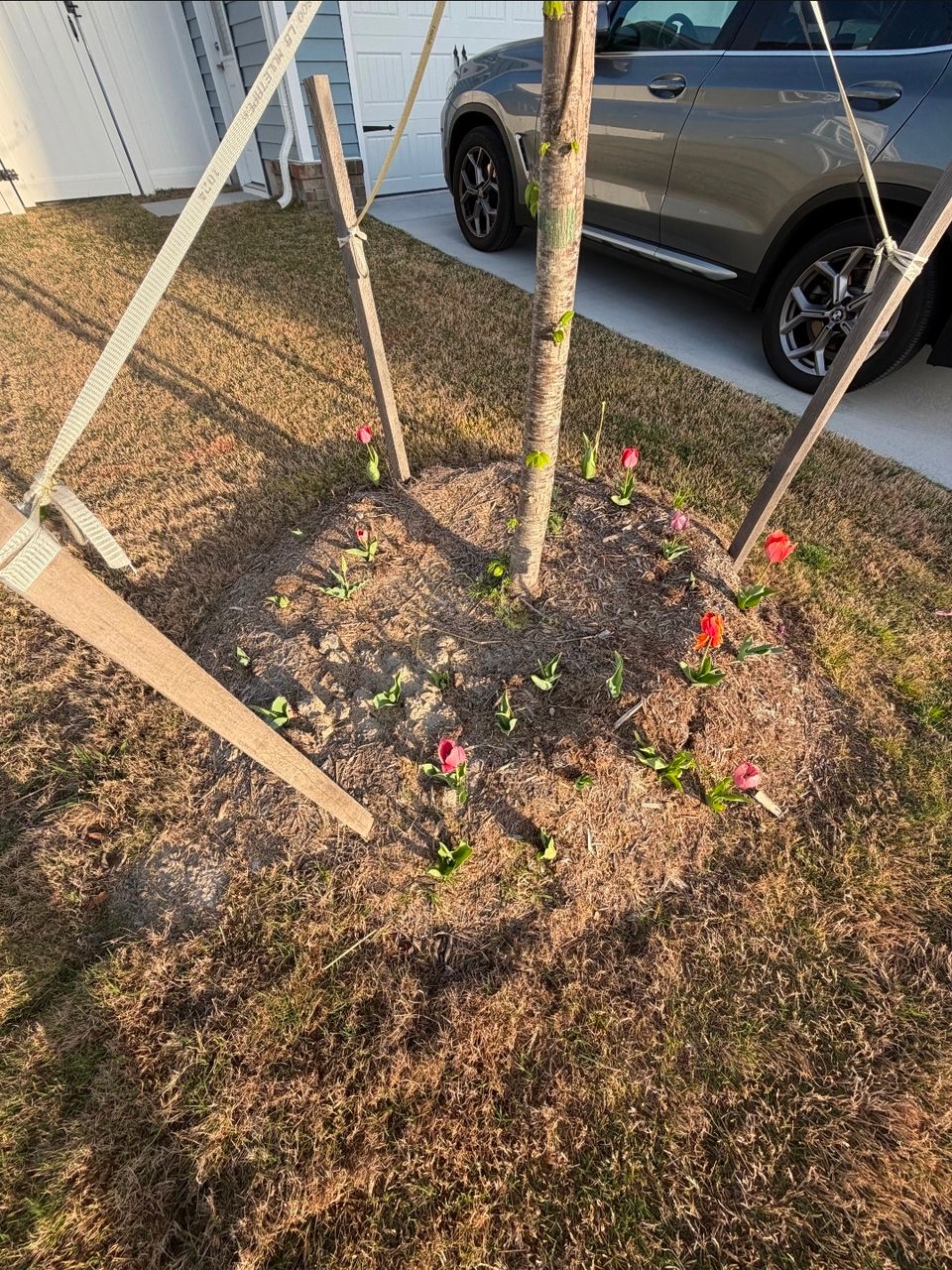 Weeding, done by Get A Mow On Lawn Care LLC of Chesapeake VA