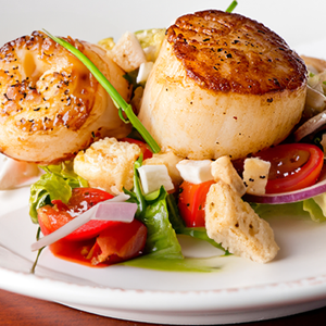 Scallop salad