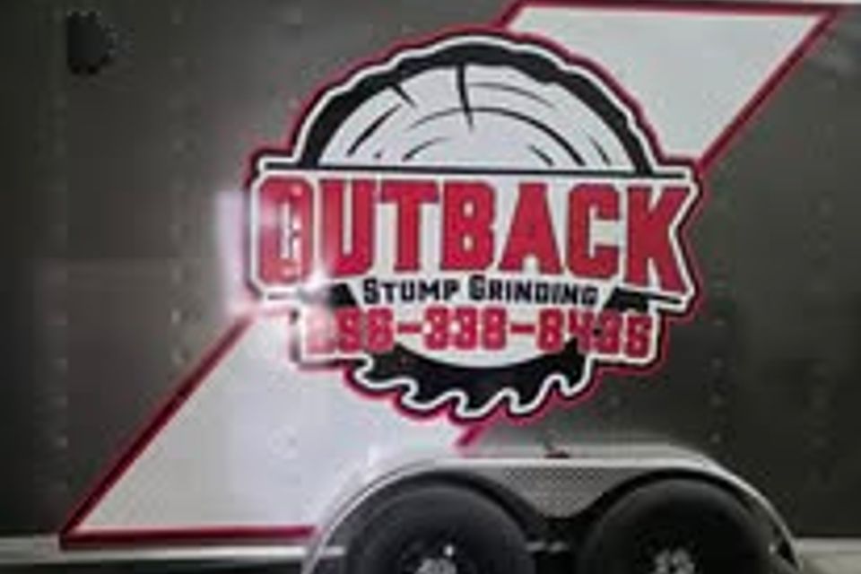 492554791 1119036030028936 9196771483945841616 n