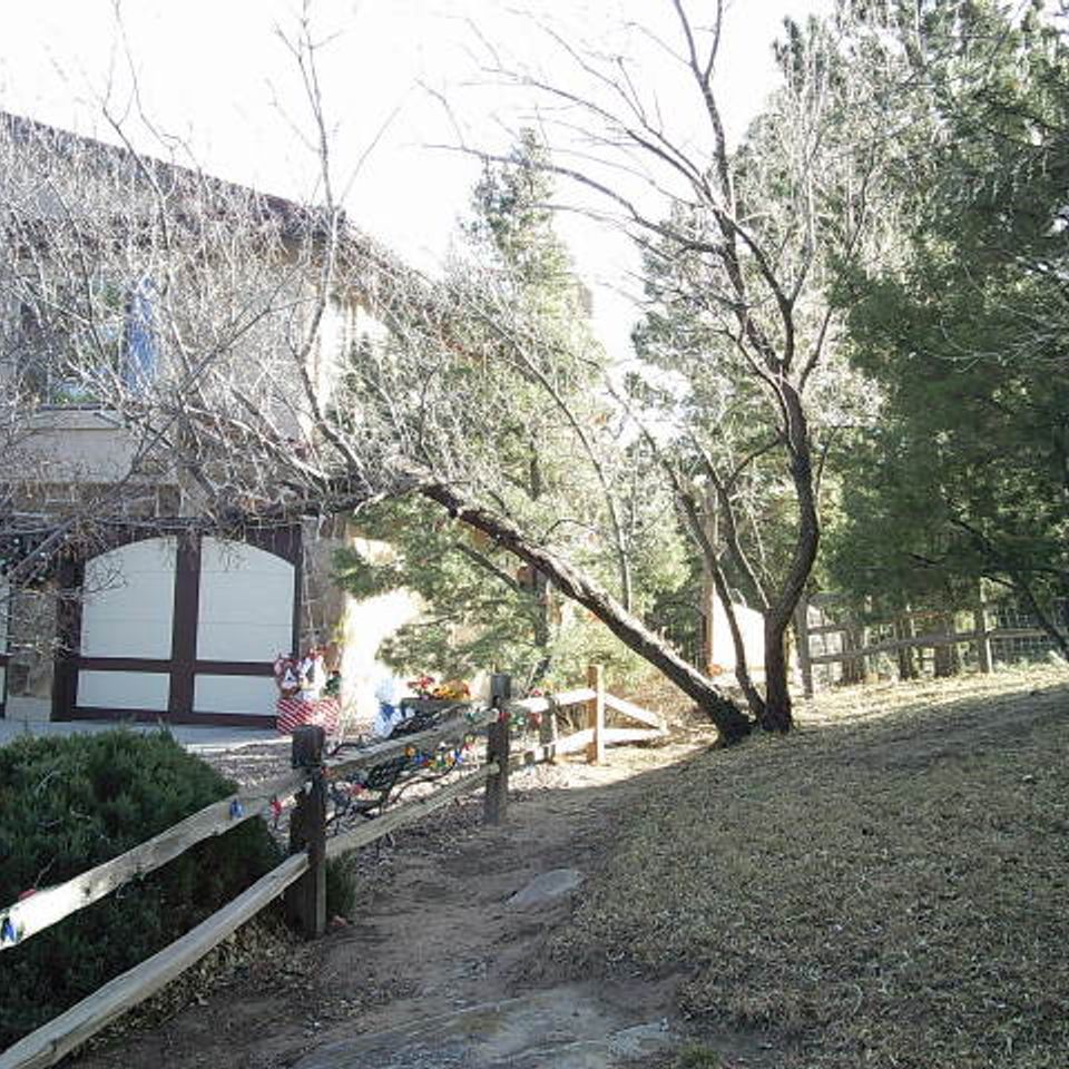 Trees of life tree service 1