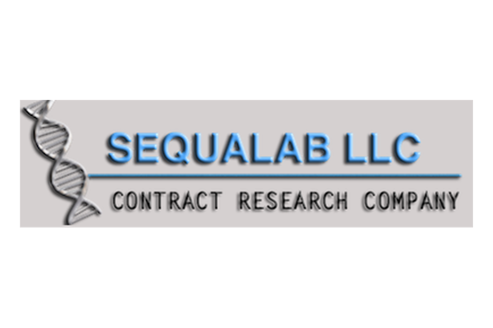 Sequalab canvas