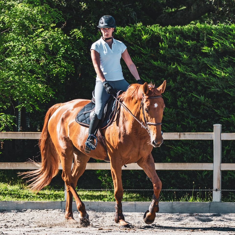 horse riding classes