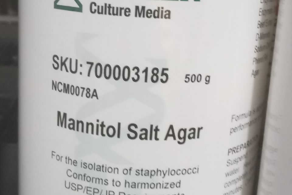 Manital salt agar