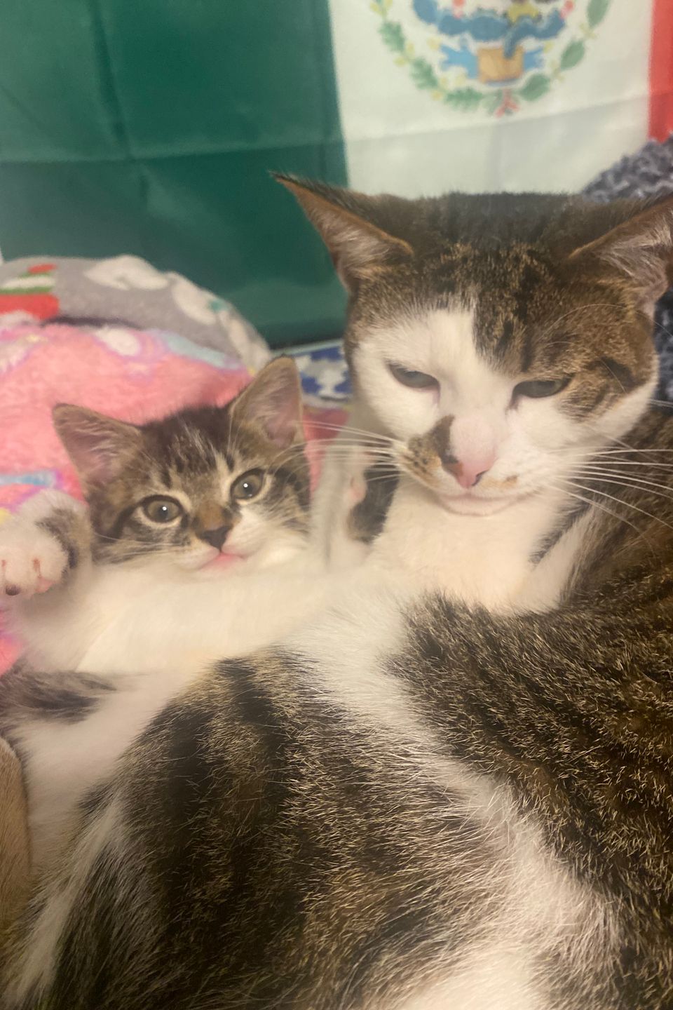 Babyanddaisy