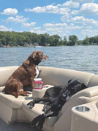 April print dog dixie   bennett brown dog has since passed the rainbow bridge loved boat rides swimming sub by lisa bennett