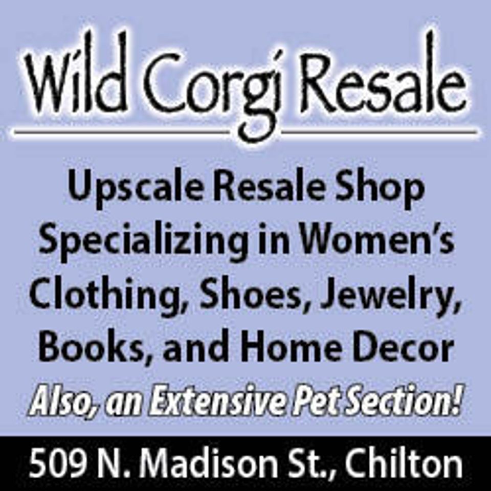 Wild corgi resale 250x250