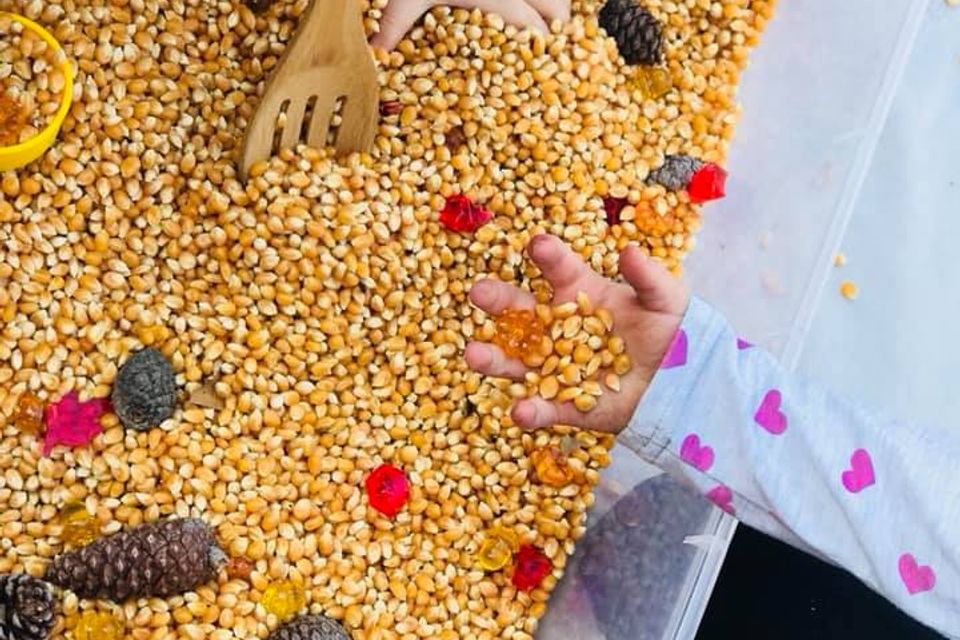 74414546 2563867453703837 3823252060082536448 n