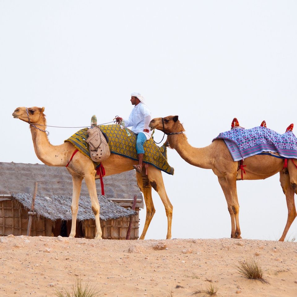 Desert g2d20b537e 1920