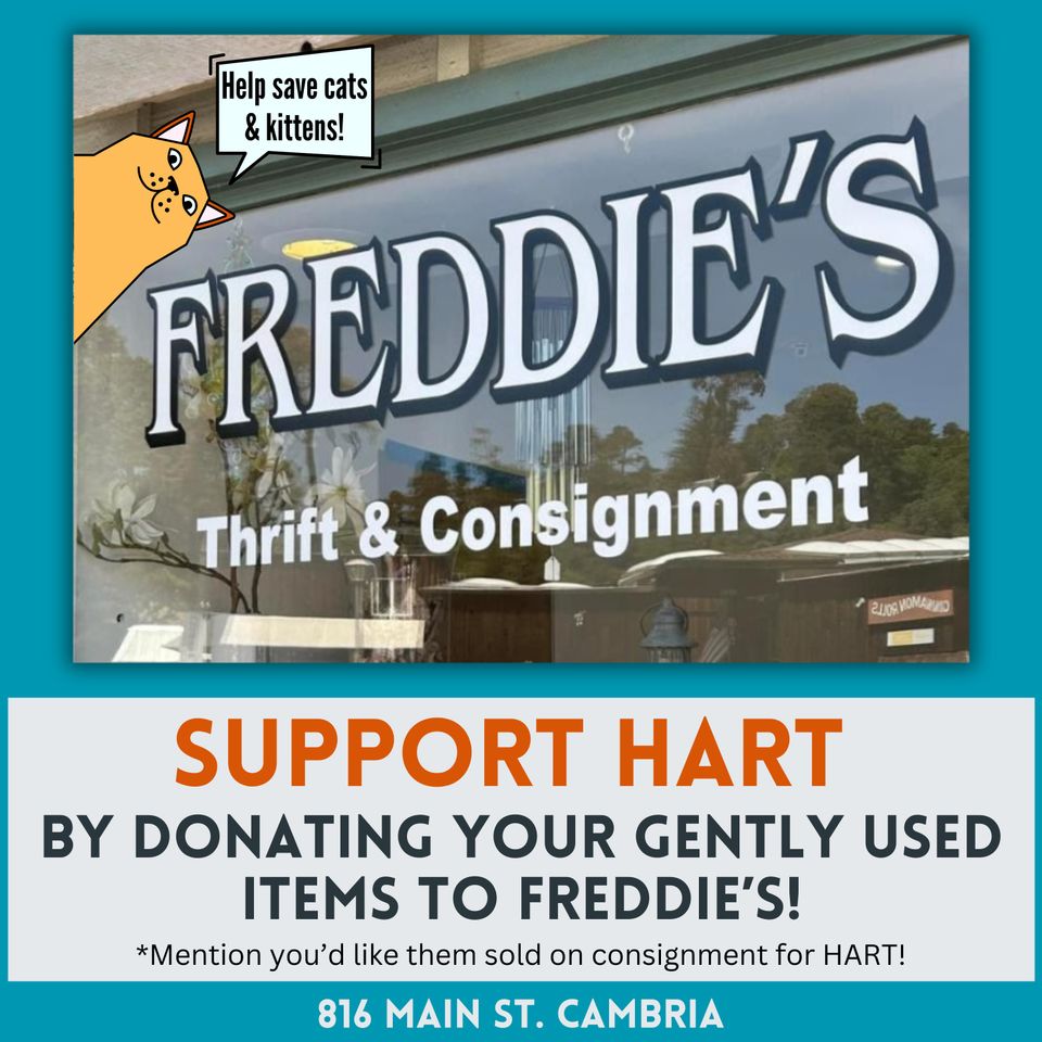 Support hart by bringing your consignment items to freddies thrift   consignment! (3)